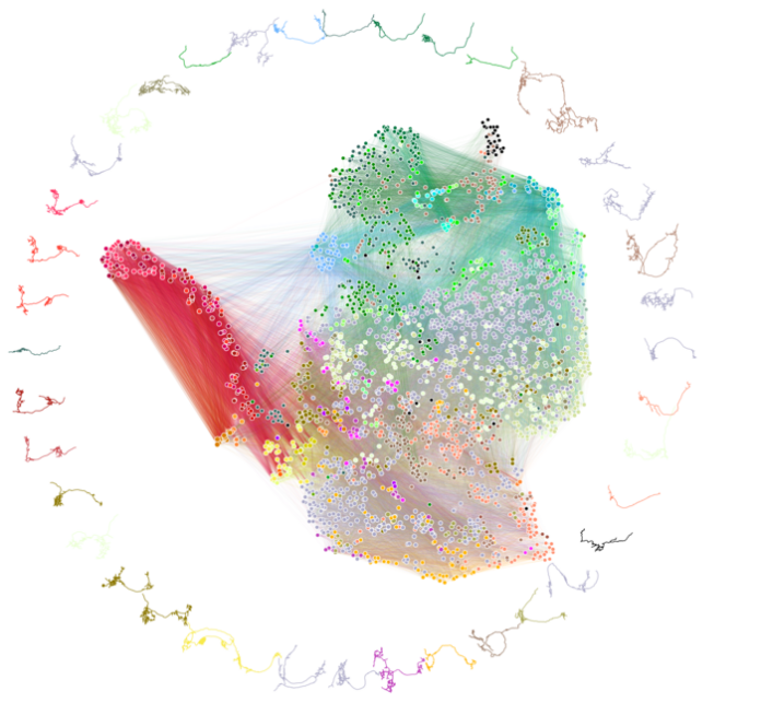 synaptic-wiring-map-for-whole-insect-brain-completed