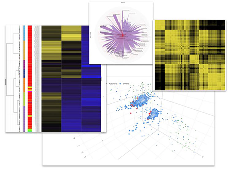 Interactive graphs with StratoMineR 