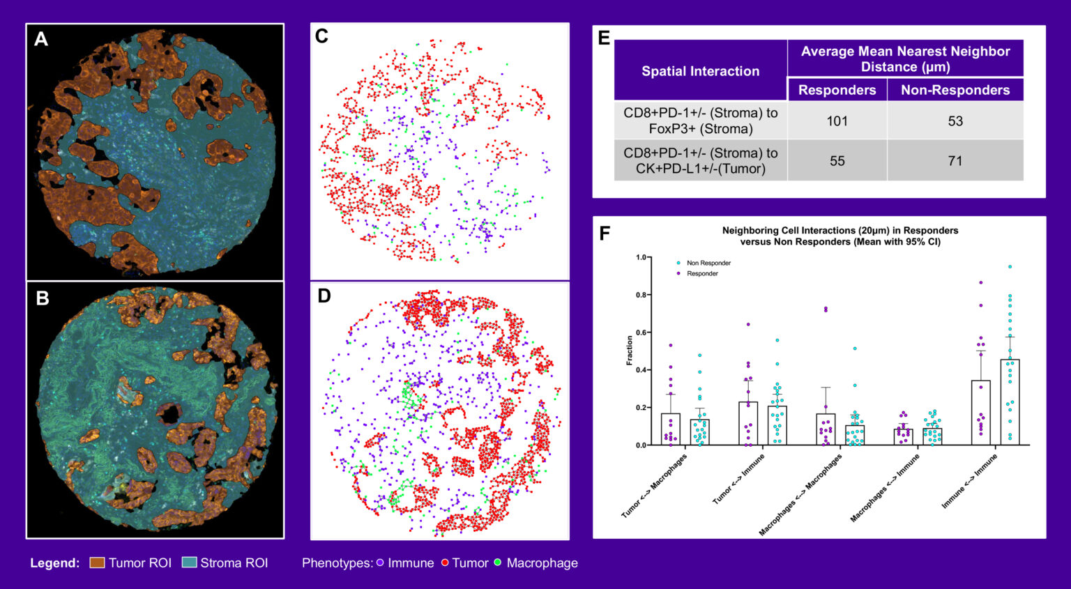 High-Plex Spatial Signatures Can Predict Responses To Immunotherapies