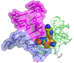 Streptothricin-F antibiotic