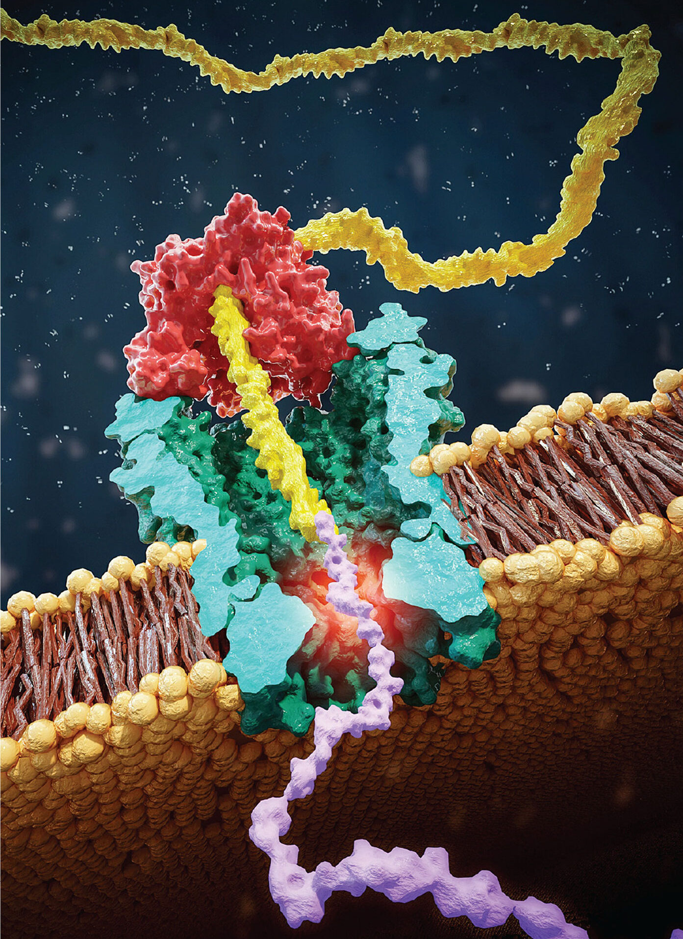 Protein Sequencing Expands The Omics Club