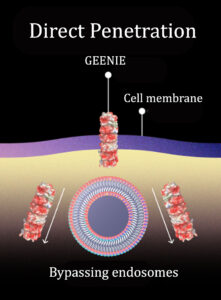 CyGenica’s GEENIE platform illustration