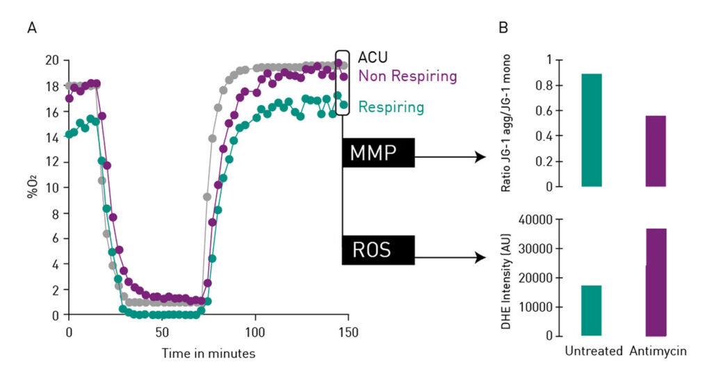 BMG Labtech Oct Issue Sponsored Content Figure 1