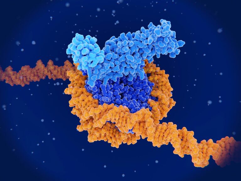 Epigenetic Memory Survives DNA Replication with Aid of Histone-Recycling Protein