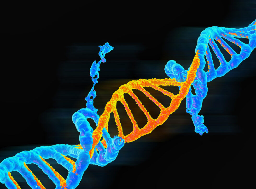 Molting blue to orange DNA double stand represented evolution or mutant, 3D rendered