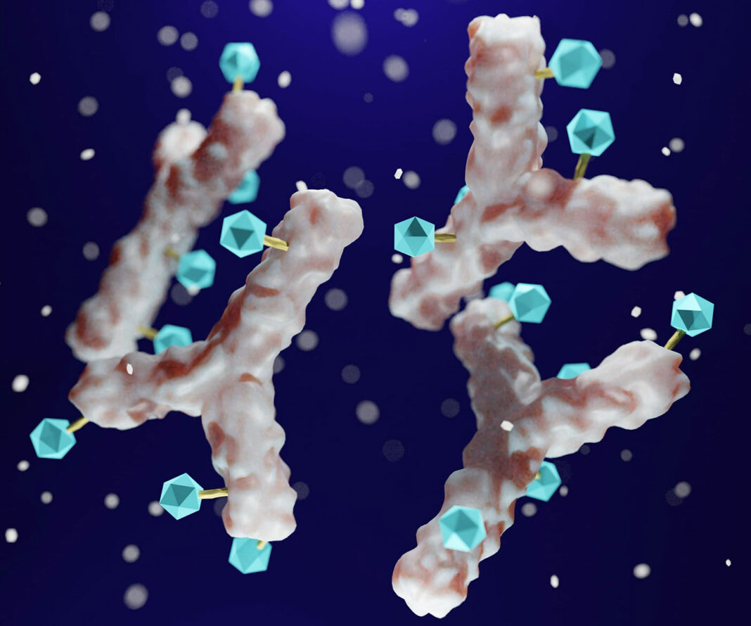 Antibody drug conjugated with cytotoxic payload