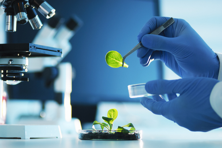 Vertical Plant-Based Protein Expression: Lower Cost, Reduced Footprint Alternative