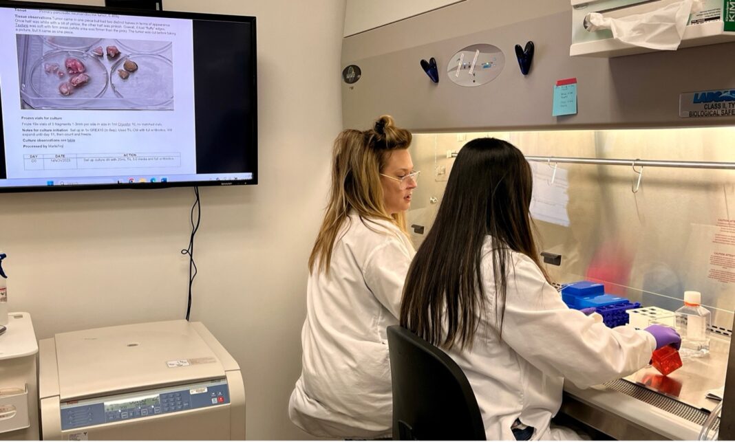 Two TIL researchers working in a lab hood