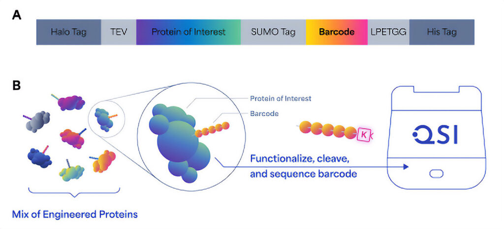 Quantum-Si’s next-generation protein sequencing technology 