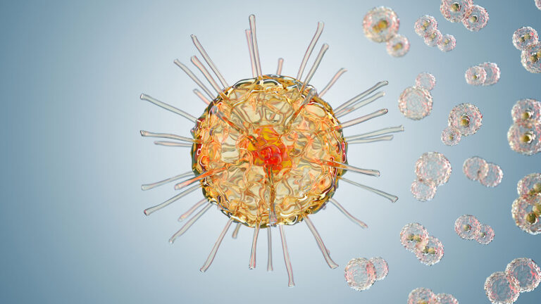 Setting the Standard in Spatial Biology: Deciphering Tumor Characteristics in Kidney Cancer Metastases Using CellScape™