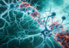 Toxic Aggregates Shunted from Neurons to Microglia via Nanotubes