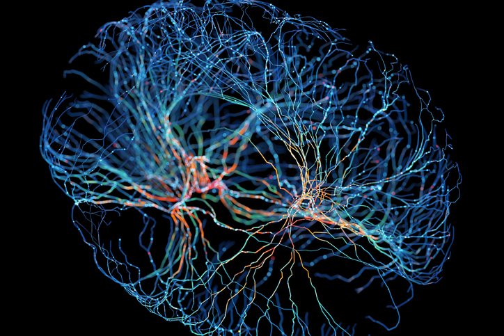 Human Proteins Found That Explain Inter-Individual Differences in Functional Brain Connectivity