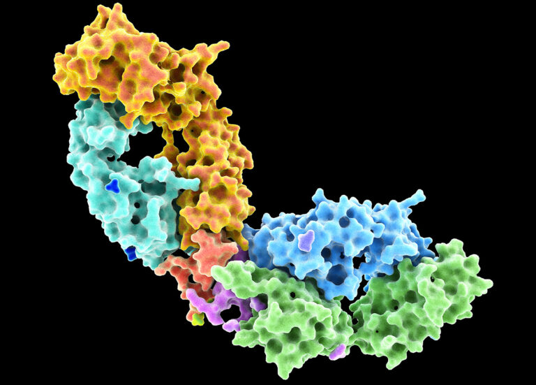 Enhancing Protein Development with Active Learning-Assisted Directed Evolution