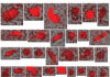 Identify Optimal Biologic Candidates in Early-Stage Developability Assessment