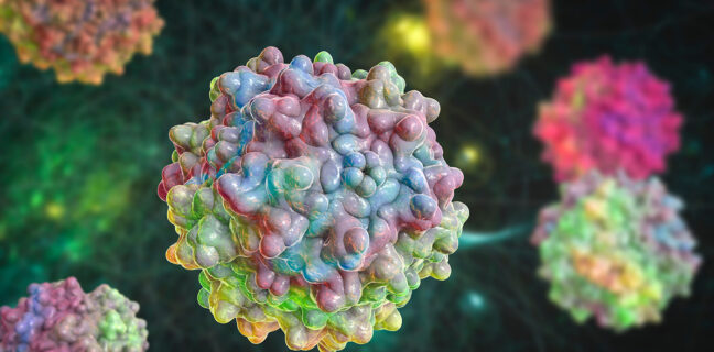 Adeno-associated viruses, 3D illustration