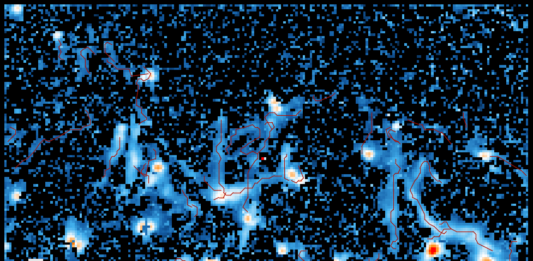 Visualisation of motor neuron electrical activity using a high-density microelectrode array.