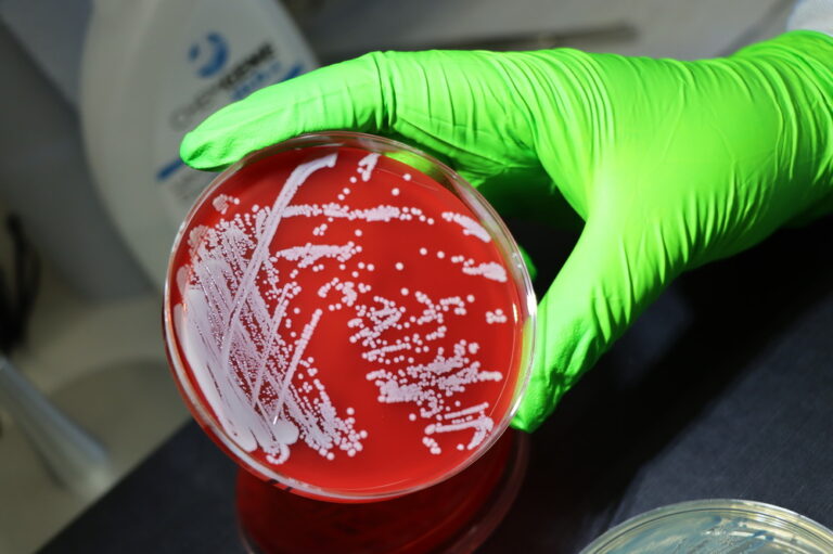 Genetic Analysis Reveals Bacterium’s Survival Tactics